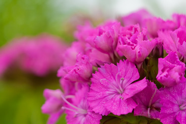 Similar image 561671