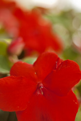 Similar image 561673