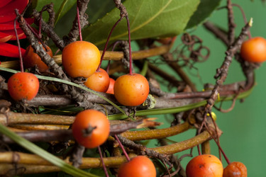 Similar image 561687