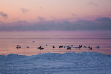 Similar image 561691