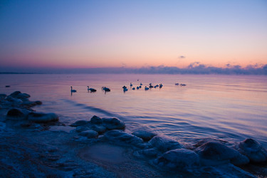 Similar image 561692