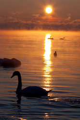 Similar image 561696