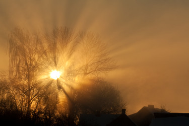 Similar image 561715