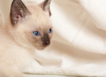 Similar image 561754