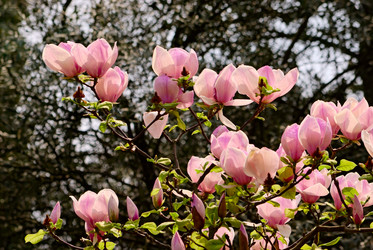 Similar image 561755