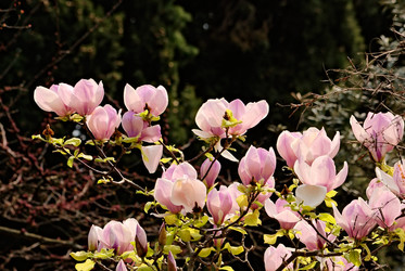 Similar image 561756