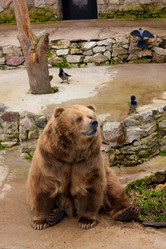 Similar image 561759