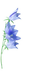 Similar image 561787