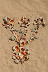 Similar image 562013