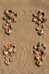 Similar image 562019