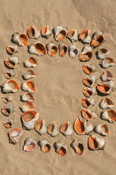 Similar image 562020