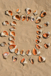 Similar image 562021