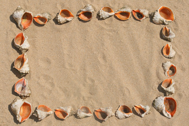 Similar image 562022