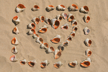 Similar image 562023