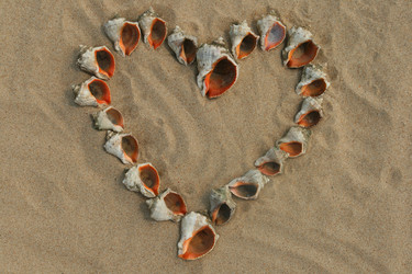 Similar image 562025