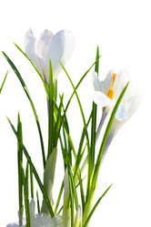 Similar image 562170