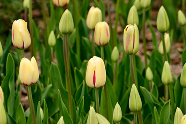 Similar image 562226