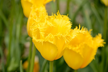 Similar image 562227