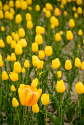 Similar image 562229