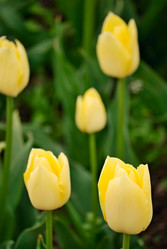 Similar image 562230