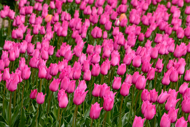 Similar image 562231