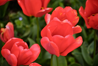 Similar image 562232