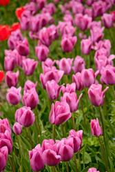 Similar image 562234