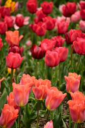 Similar image 562236