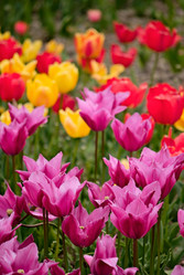 Similar image 562235