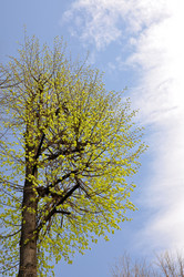 Similar image 562314