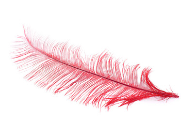 Similar image 562419