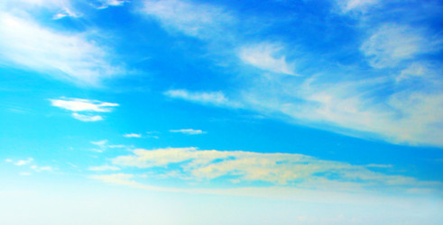 Similar image 562682