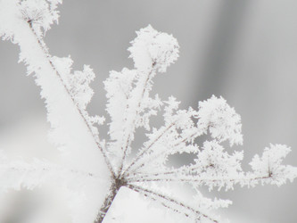 Similar image 562705