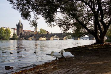 Similar image 562774