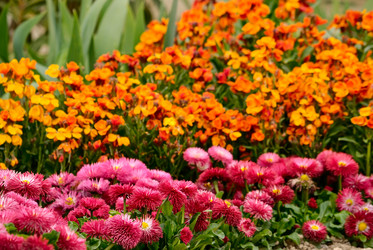 Similar image 562920