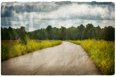 Similar image 562956