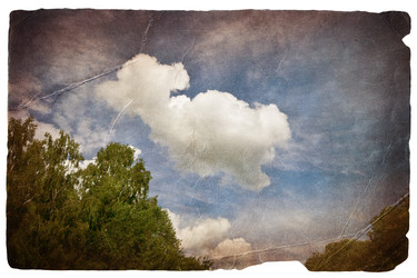 Similar image 562986