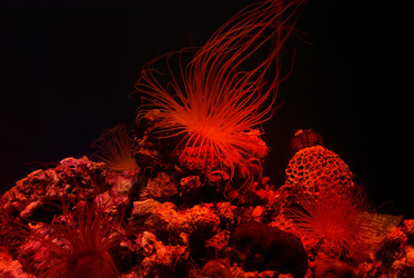 Similar image 562989