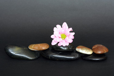 Similar image 563002