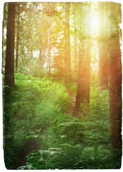 Similar image 563017