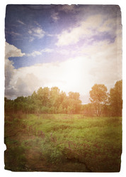 Similar image 563023