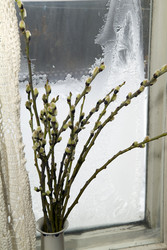 Similar image 563125