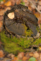 Similar image 563147