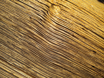 Similar image 563416