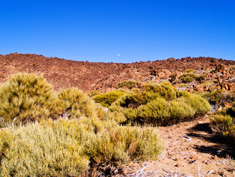 Similar image 563517