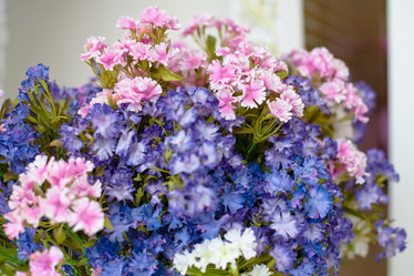 Similar image 563642