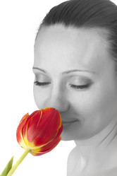 Similar image 563662