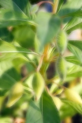 Similar image 563748