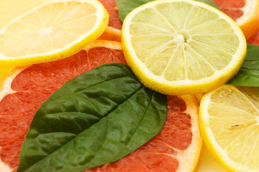 Similar image 563755