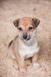 Similar image 563828